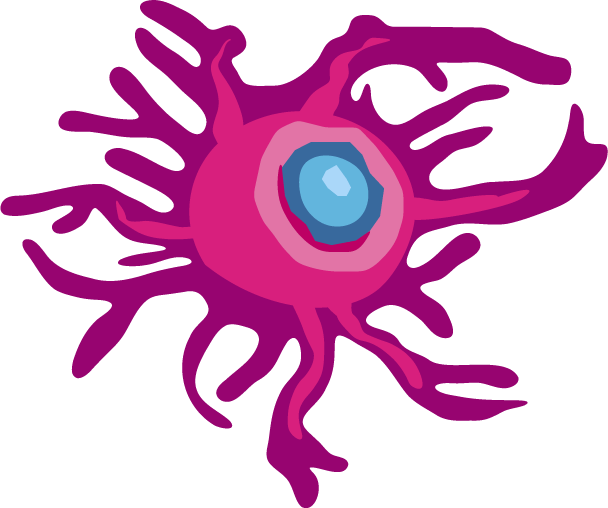 dendritic cell vector drawing