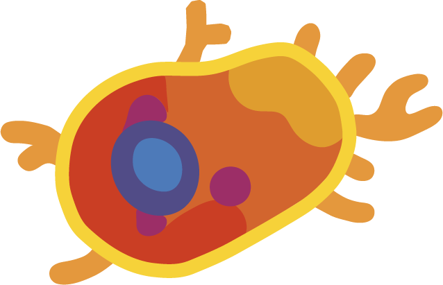 macrophil cell vector drawing