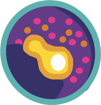 Mast cell vector drawing