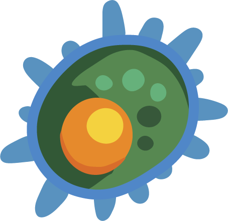 Natural killer cell vector drawing