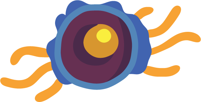 T cell vector drawing